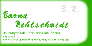 barna mehlschmidt business card